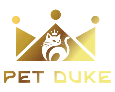 Songtai (Shandong) International Trade Co., Ltd.