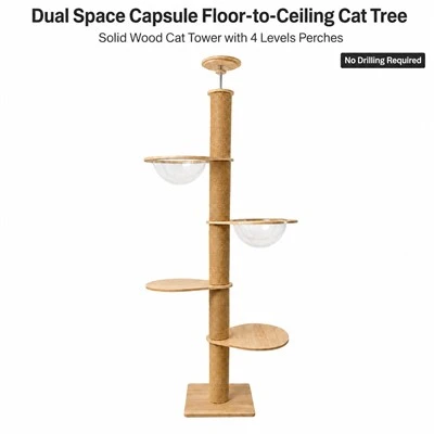 Arbre à chat à double espace du sol-au-plafond